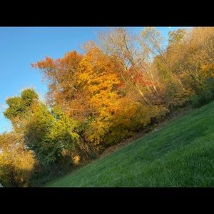 Meet your Posher, Victoria